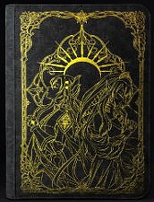 Golden Sunburst Portfolio