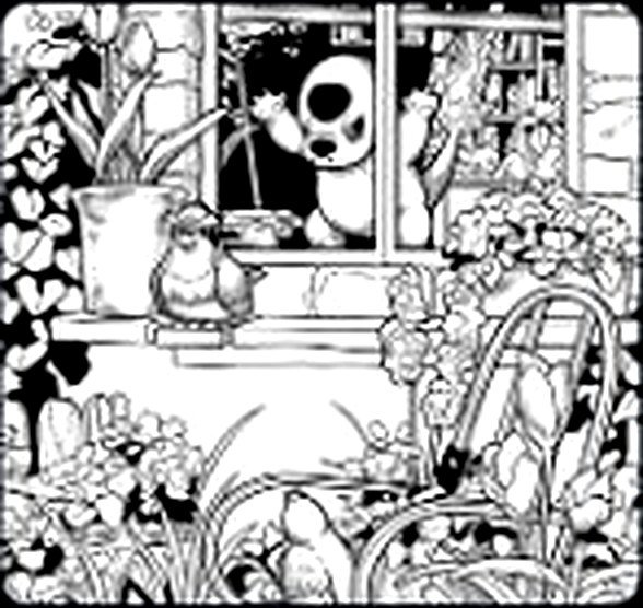 window_garden